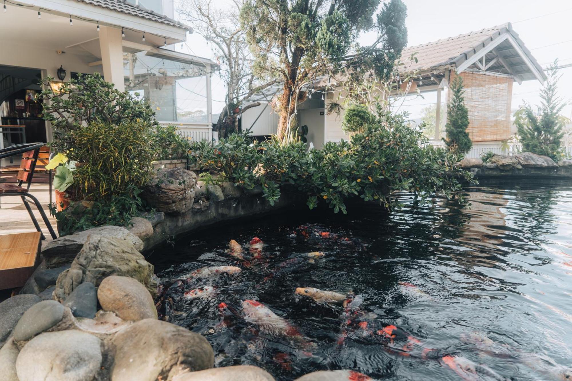 Villa Hotel Du Thuyen 大叻 外观 照片